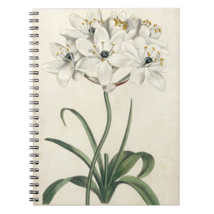 Ivory Garden Notizblock
