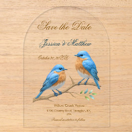 Ivory Pastel Lovebirds Romantische Bluebirds Hochz Acryleinladungen
