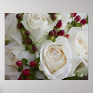 Ivory Roses on canvas Poster
