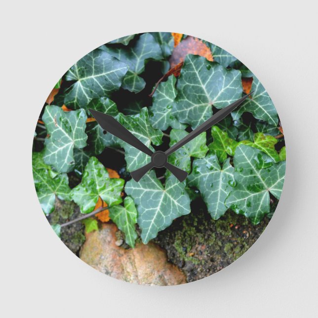 Ivy and field stone runde wanduhr (Vorderseite)