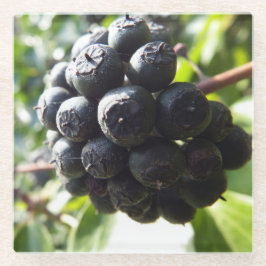 Ivy Berries Glass Untersetzer