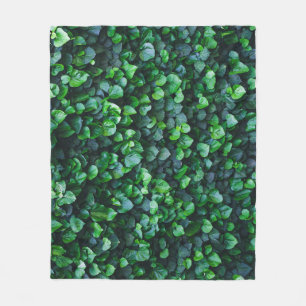 Ivy grüne Wand: natürliche Oberfläche. Fleecedecke