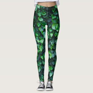 Ivy grüne Wand: natürliche Oberfläche. Leggings