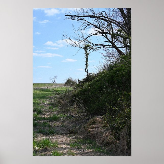 Ivy Hanging for Branches Poster (Vorne)