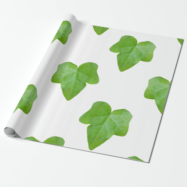 Ivy Leaf Pattern Geschenkpapier (Ungerollt)