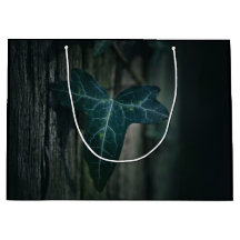 Ivy Nature Foto