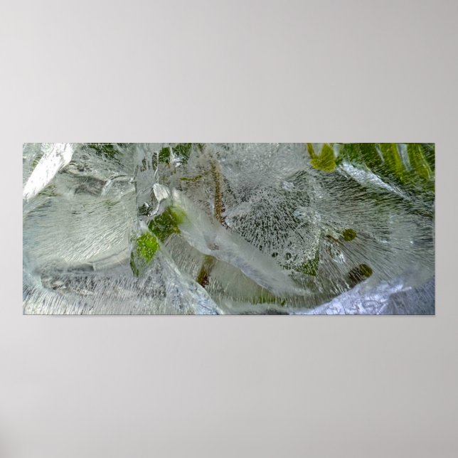 Ivy Poster (Vorne)