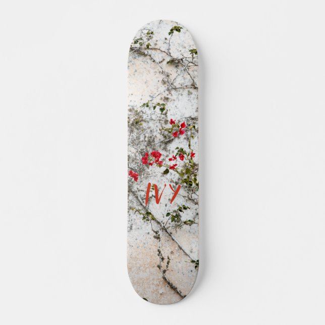 IVY SKATEBOARD (Vorne)