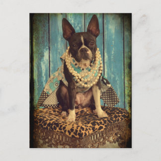 Ivy the Boston Terrier Postkarte