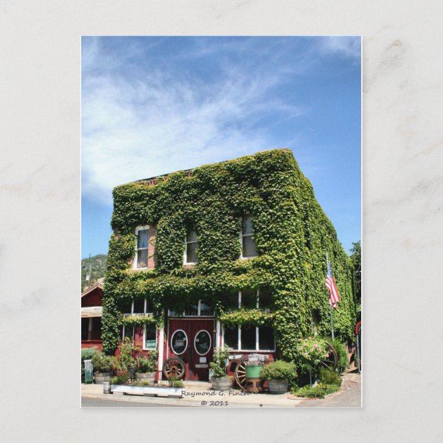 Ivy und Alter Postkarte (Vorderseite)