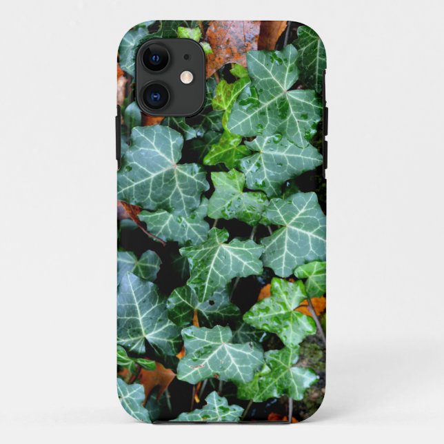 Ivy und Felsstein Case-Mate iPhone Hülle (Rückseite)