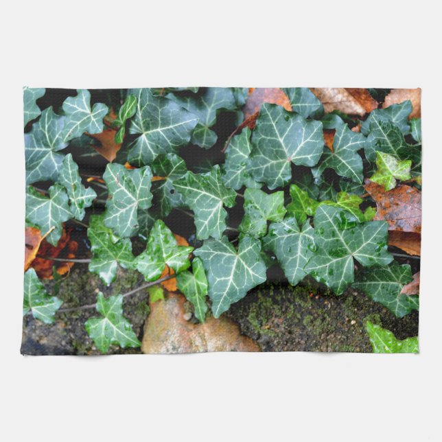 Ivy und Felsstein Handtuch (Horizontal)