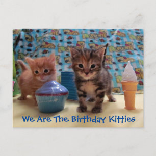 Ivy und Parkers Überraschung - Katzen-Geburtstagsp Postkarte