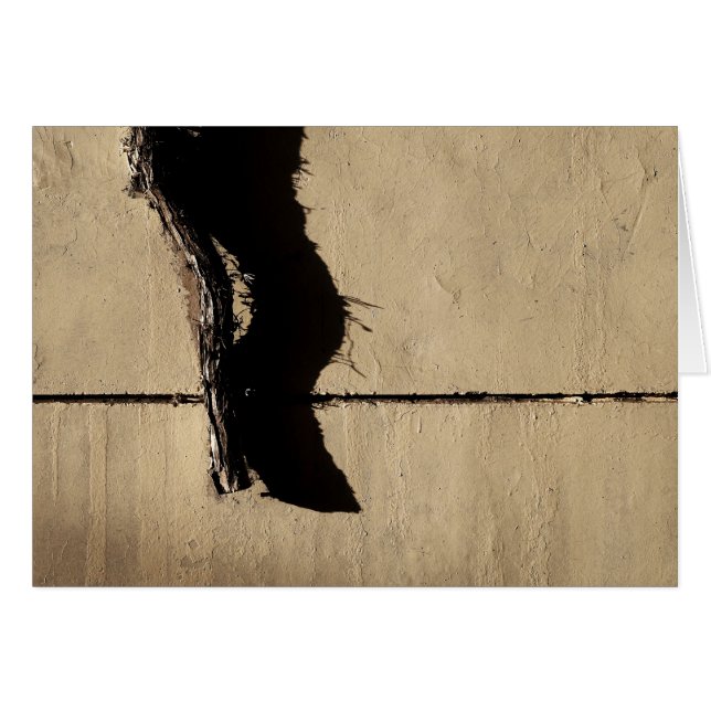Ivy Vine und Shadow (Vorderseite (Horizontal))