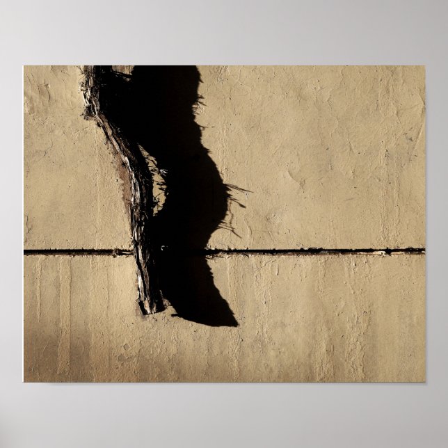 Ivy Vine und Shadow Poster (Vorne)
