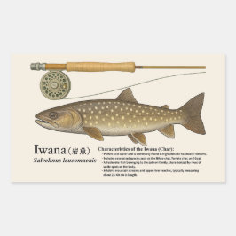 Iwana (Salvelinus leucomaenis) – English Illust Rechteckiger Aufkleber