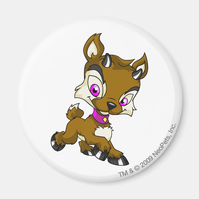 Ixi Brown Magnet (Vorne)