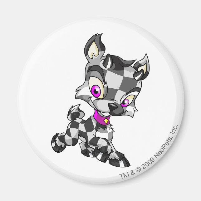 Ixi Checkered Magnet (Vorne)