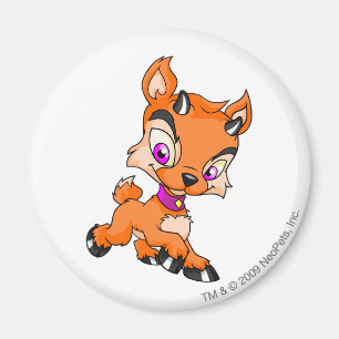 Ixi Orange Magnet