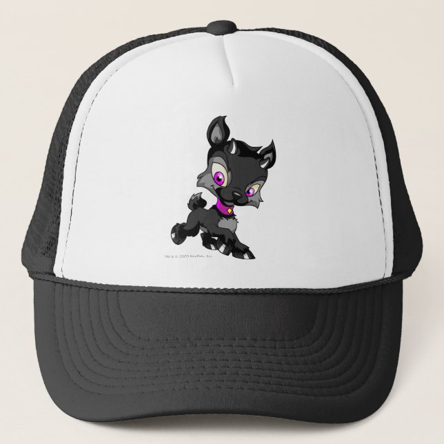 Ixi Schatten Truckerkappe (Vorderseite)