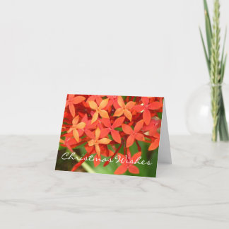 Ixora blüht Weihnachten Notecard