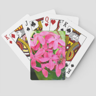 Ixora Pflanze Spielkarten