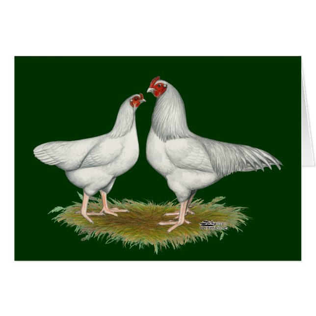 Ixworth Chickens (Vorderseite (Horizontal))