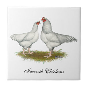 Ixworth Chickens Fliese