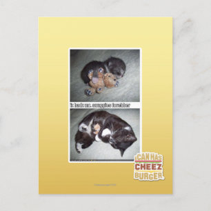 iz hadz Herr Snuggies Forebber Postkarte