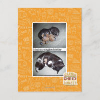 iz hadz mr. snuggies forebber