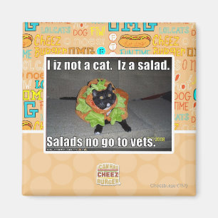 Iz I nicht eine Katze. Iz ein Salat Magnet