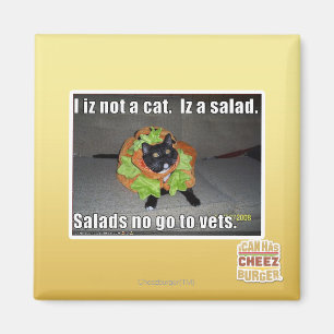 Iz I nicht eine Katze. Iz ein Salat Magnet