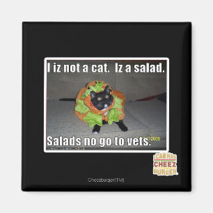 Iz I nicht eine Katze. Iz ein Salat Magnet