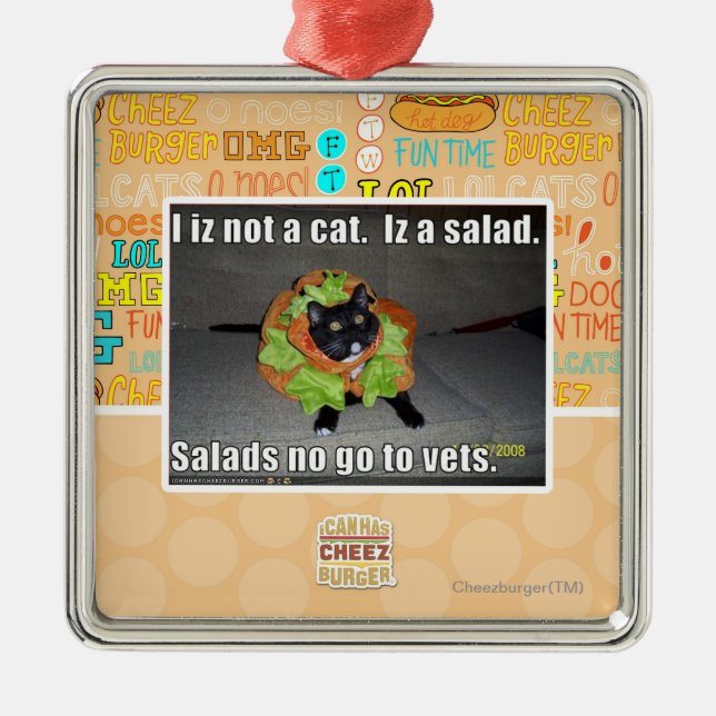 Iz I nicht eine Katze. Iz ein Salat Silbernes Ornament (Vorne)
