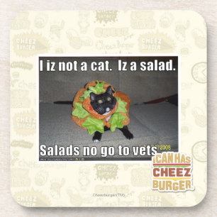 Iz I nicht eine Katze. Iz ein Salat Untersetzer