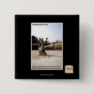 Iz I shaolin Tatzen der Wut Button