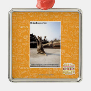 Iz I shaolin Tatzen der Wut Ornament Aus Metall