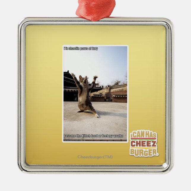 Iz I shaolin Tatzen der Wut Silbernes Ornament (Vorne)