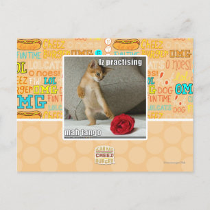 Iz übt Mah Tango Postkarte