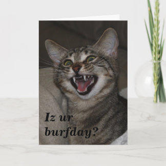 Iz votre burday ? carte d'anniversaire photo humor