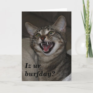 Iz votre burday ? carte d'anniversaire photo humor