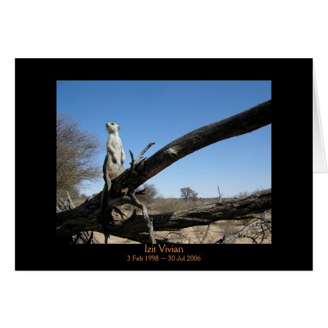 Izit - carte de légendes (Devant horizontal)