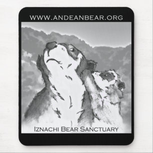 Iznachi Bärn-Schongebiet Mousepad