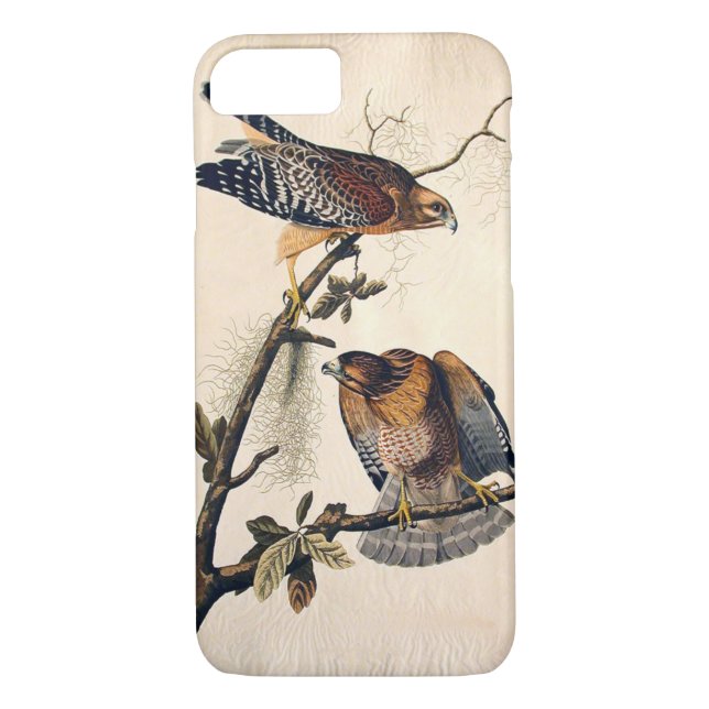 J. Audubon (roter geschulterter Falke) (1829) Case-Mate iPhone Hülle (Rückseite)
