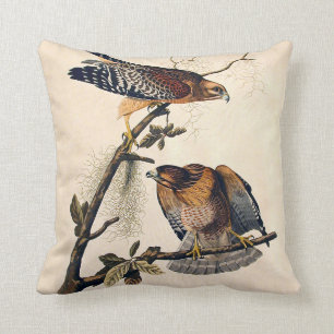 J.J. Audubon (roter geschulterter Falke) (1829) Kissen