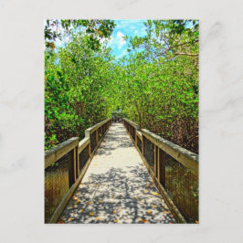 J N Ding Darling National Wildlife Refugium Postca Postkarte