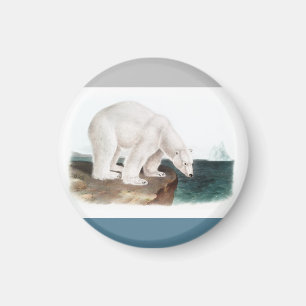 J.W. Audubon - Ursus Maritimus Magnet