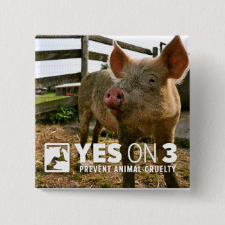 Ja auf 3! Miniknopf Button