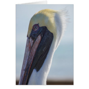 Ja, ich bin wunderschön