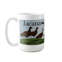 Jacanas der Welt